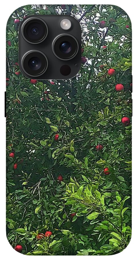 Apple Tree Close Up - Phone Case