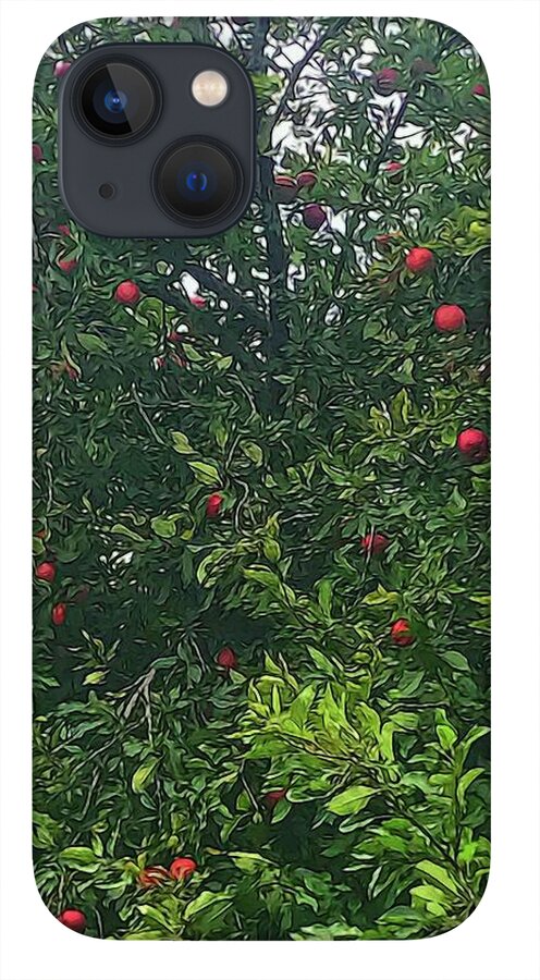 Apple Tree Close Up - Phone Case