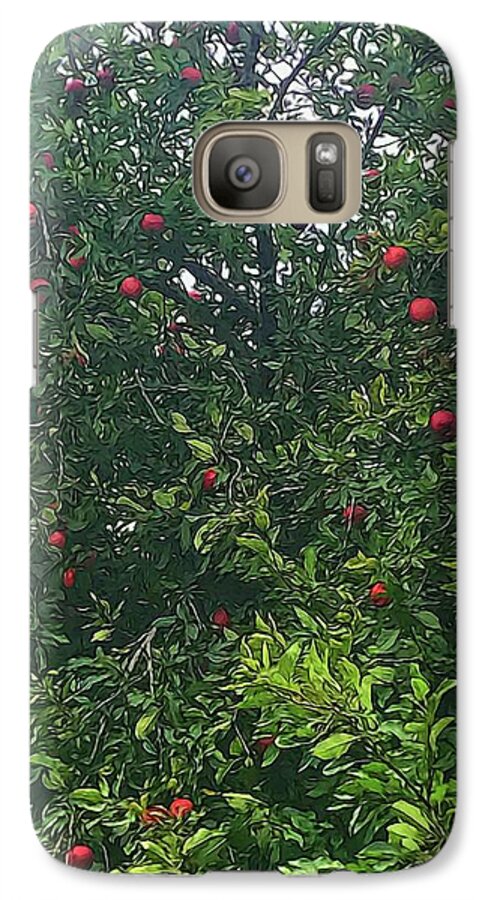 Apple Tree Close Up - Phone Case
