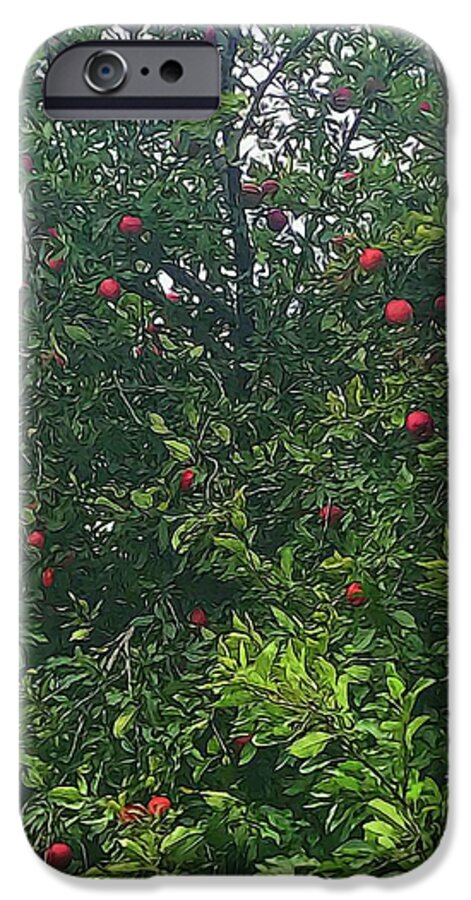 Apple Tree Close Up - Phone Case