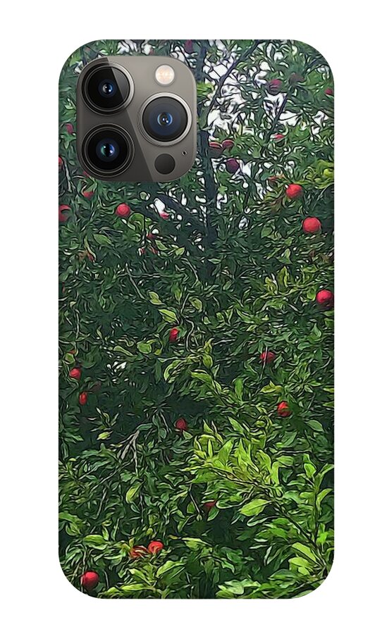 Apple Tree Close Up - Phone Case