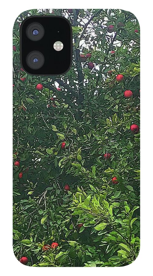 Apple Tree Close Up - Phone Case