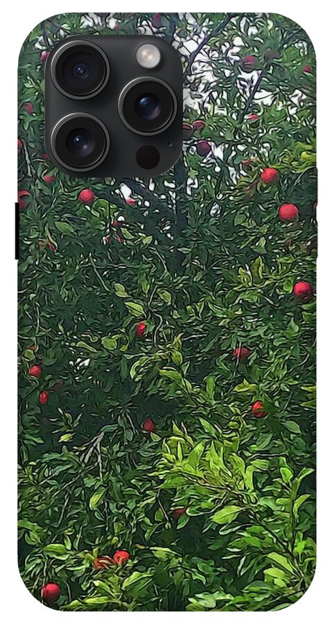 Apple Tree Close Up - Phone Case