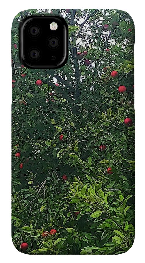 Apple Tree Close Up - Phone Case