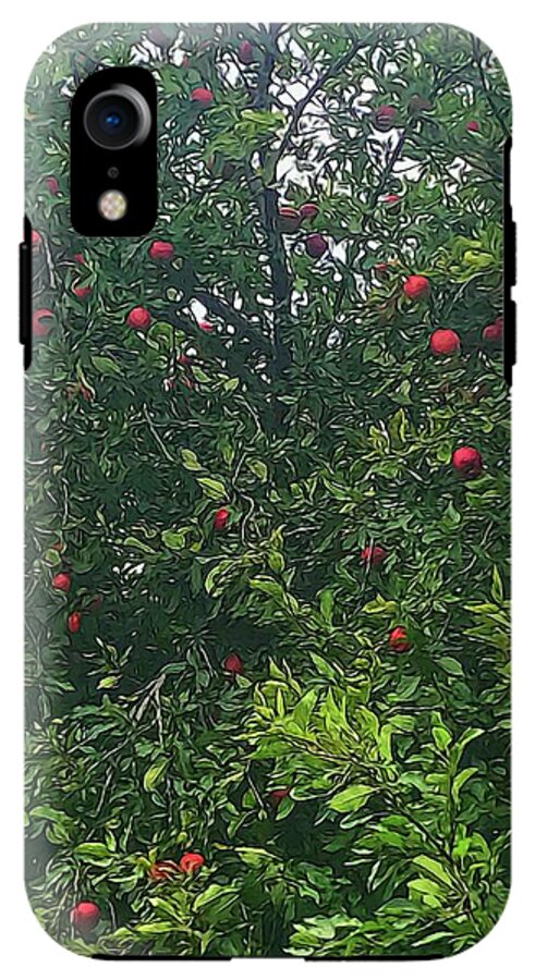 Apple Tree Close Up - Phone Case