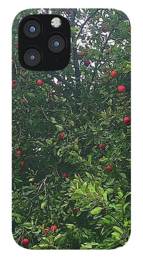 Apple Tree Close Up - Phone Case