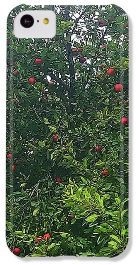 Apple Tree Close Up - Phone Case