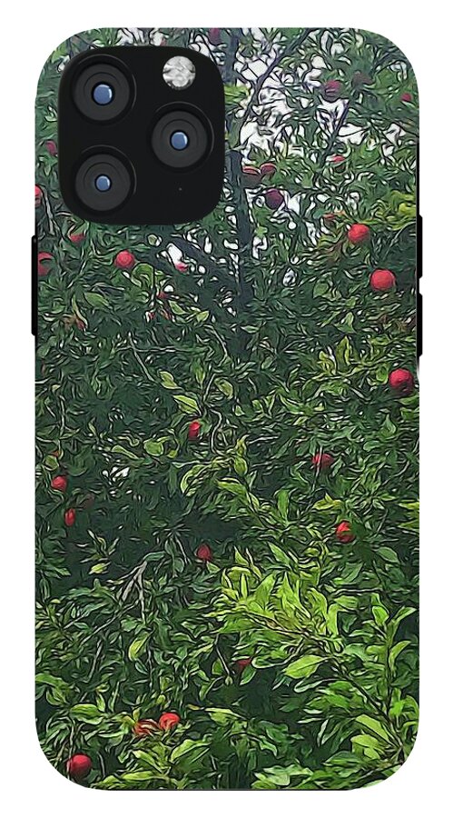 Apple Tree Close Up - Phone Case