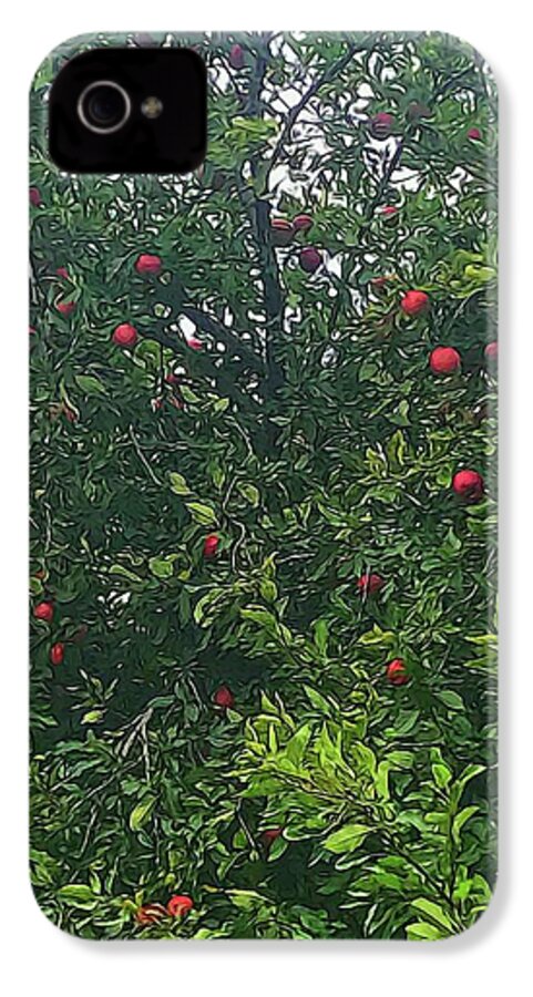 Apple Tree Close Up - Phone Case