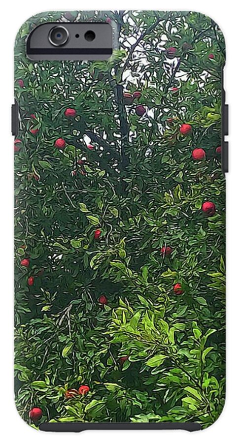 Apple Tree Close Up - Phone Case