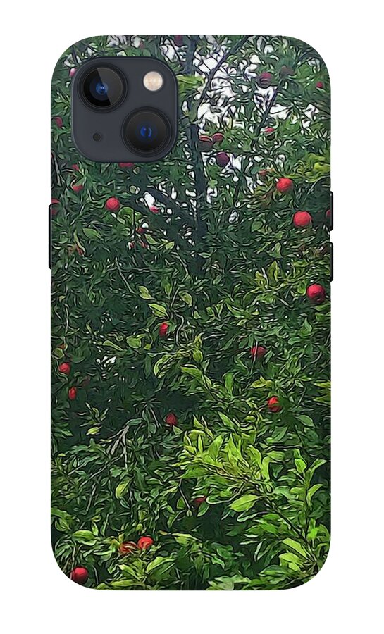 Apple Tree Close Up - Phone Case