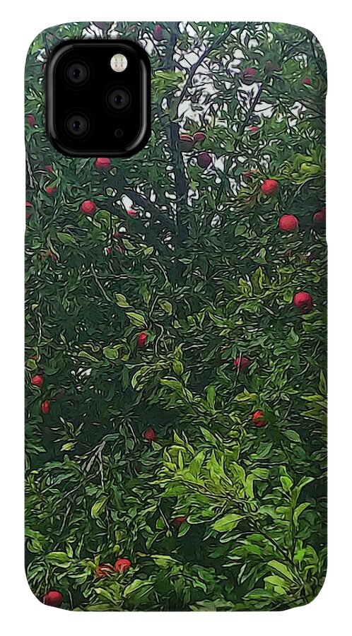 Apple Tree Close Up - Phone Case