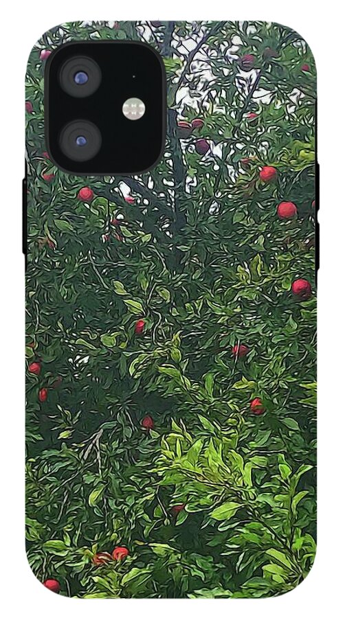 Apple Tree Close Up - Phone Case