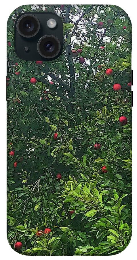 Apple Tree Close Up - Phone Case