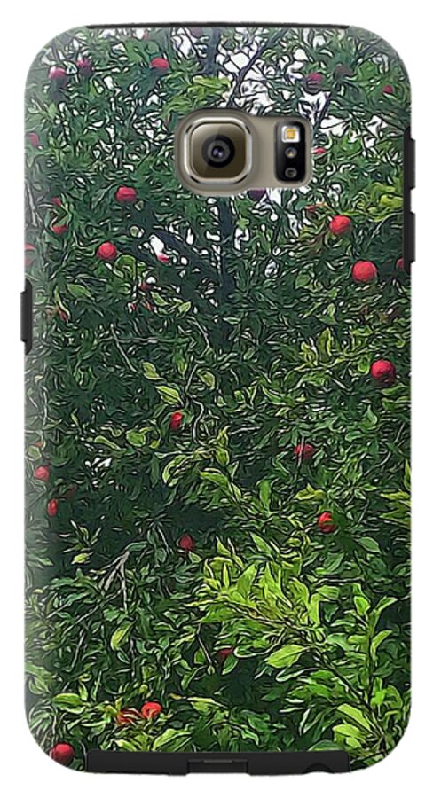 Apple Tree Close Up - Phone Case