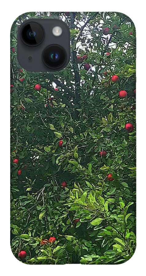 Apple Tree Close Up - Phone Case