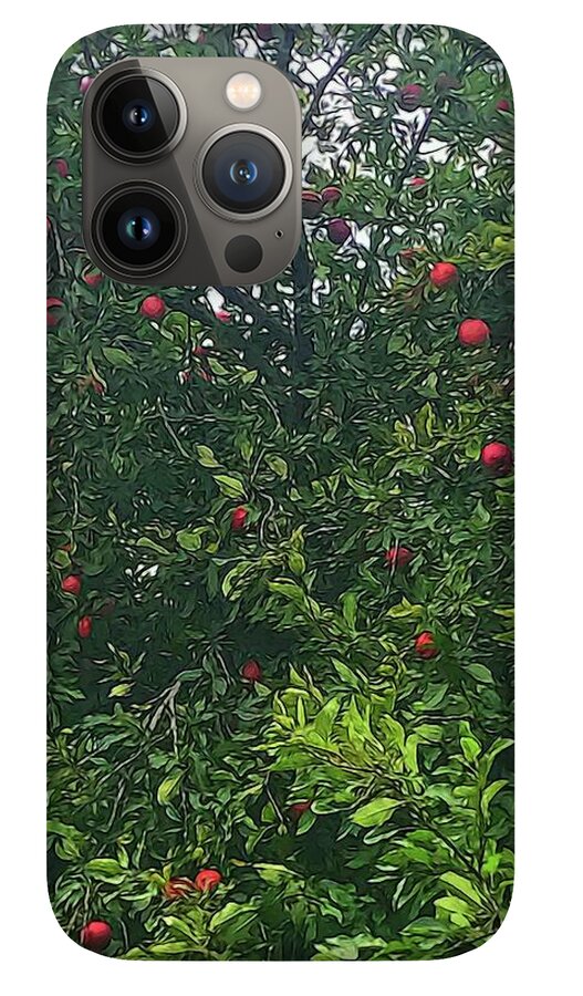 Apple Tree Close Up - Phone Case