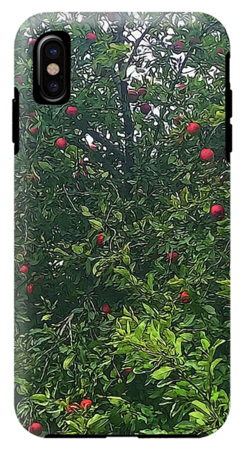 Apple Tree Close Up - Phone Case