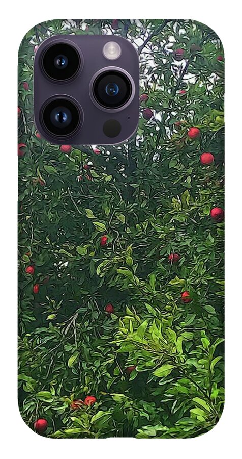 Apple Tree Close Up - Phone Case
