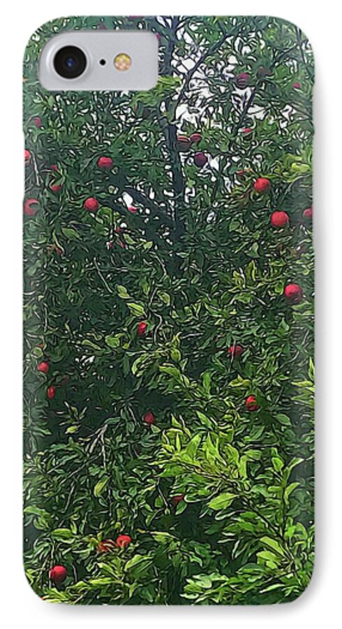 Apple Tree Close Up - Phone Case