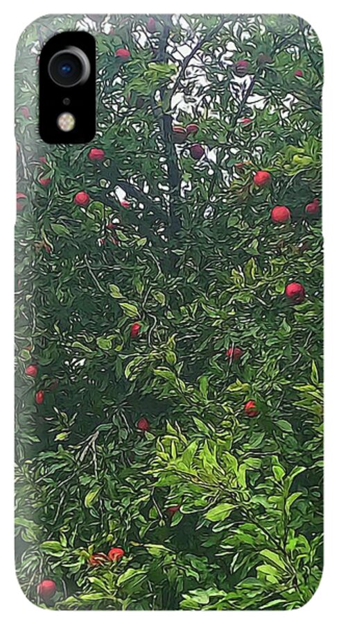 Apple Tree Close Up - Phone Case