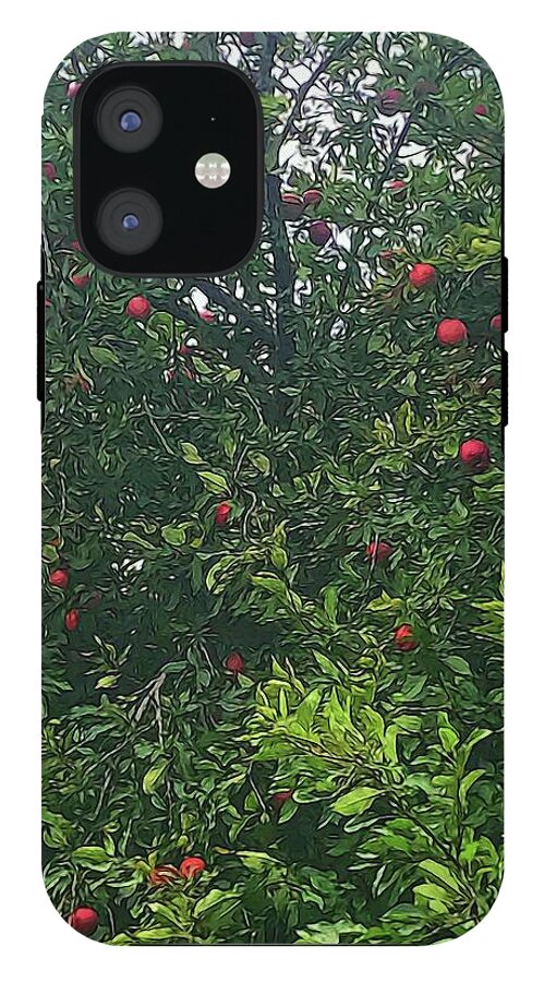 Apple Tree Close Up - Phone Case