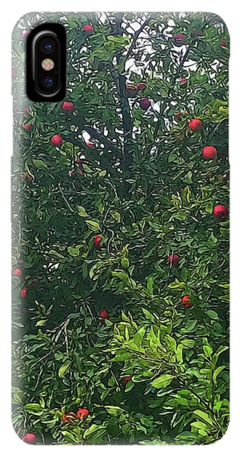 Apple Tree Close Up - Phone Case