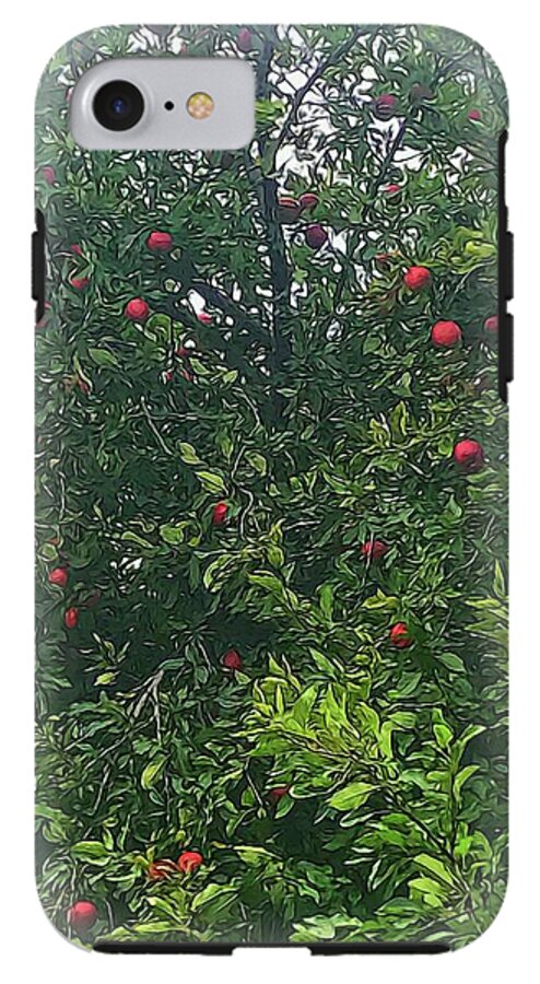 Apple Tree Close Up - Phone Case