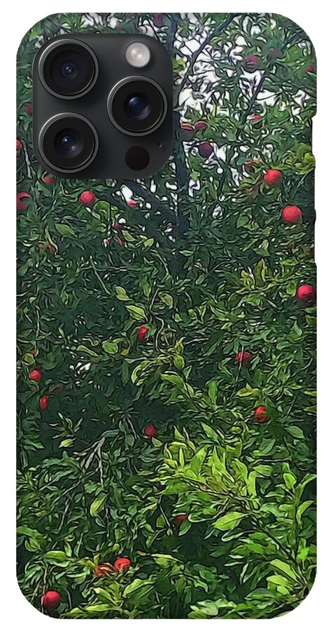 Apple Tree Close Up - Phone Case