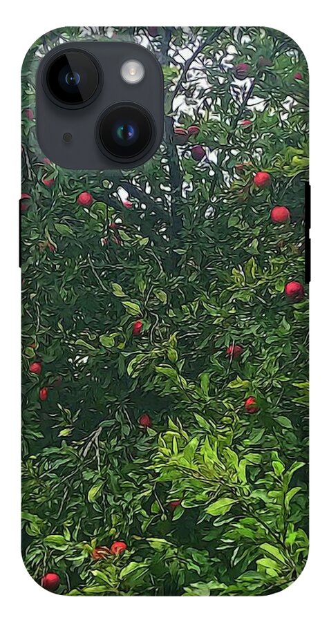 Apple Tree Close Up - Phone Case