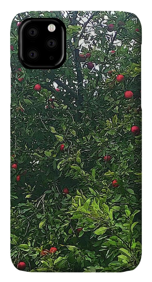 Apple Tree Close Up - Phone Case