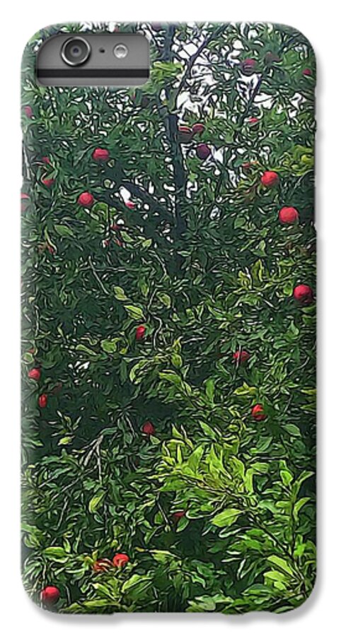Apple Tree Close Up - Phone Case