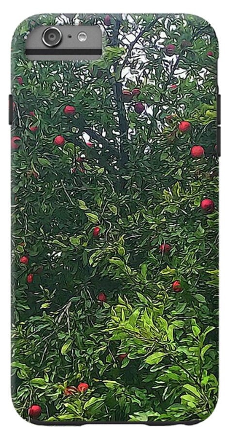 Apple Tree Close Up - Phone Case