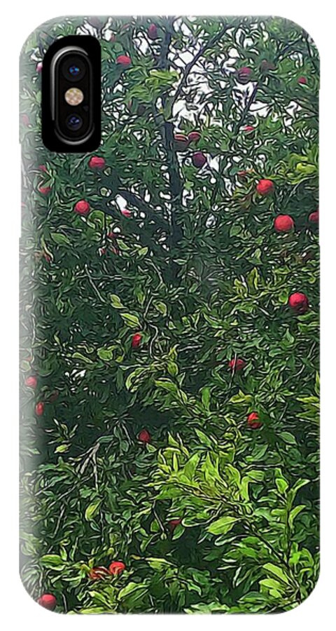 Apple Tree Close Up - Phone Case