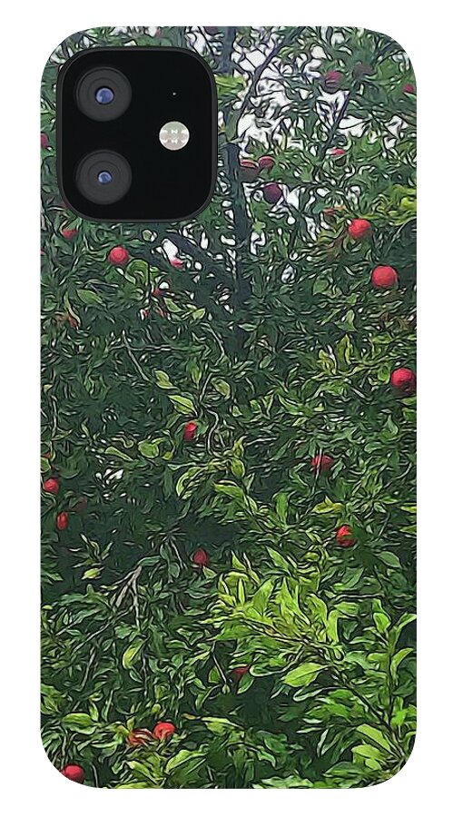 Apple Tree Close Up - Phone Case