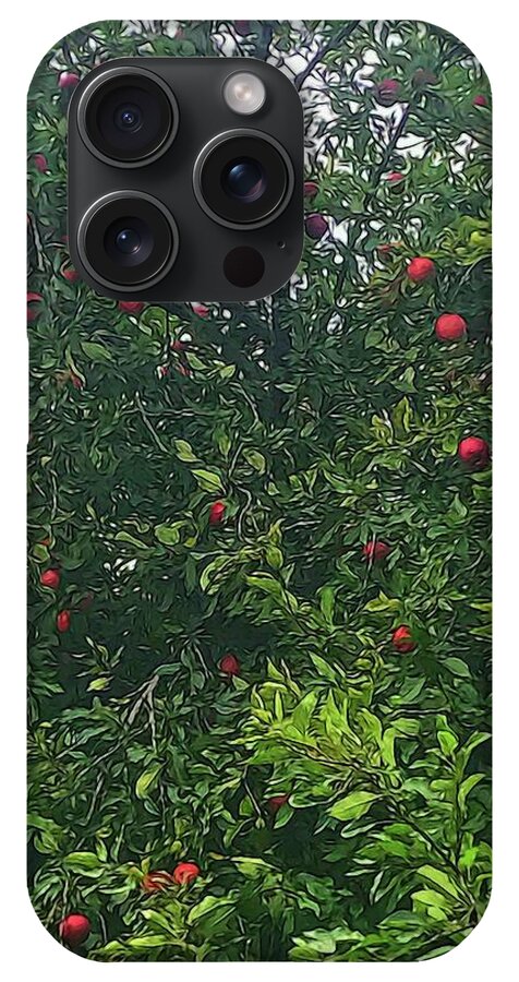 Apple Tree Close Up - Phone Case