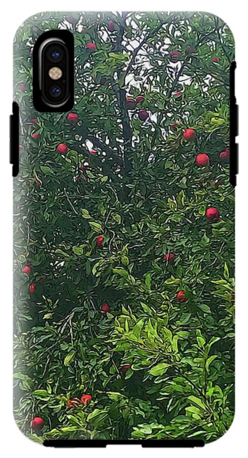 Apple Tree Close Up - Phone Case