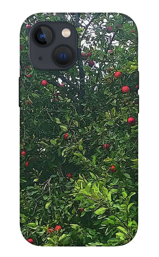 Apple Tree Close Up - Phone Case