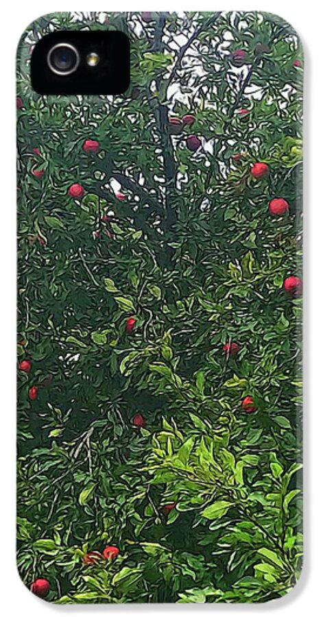 Apple Tree Close Up - Phone Case