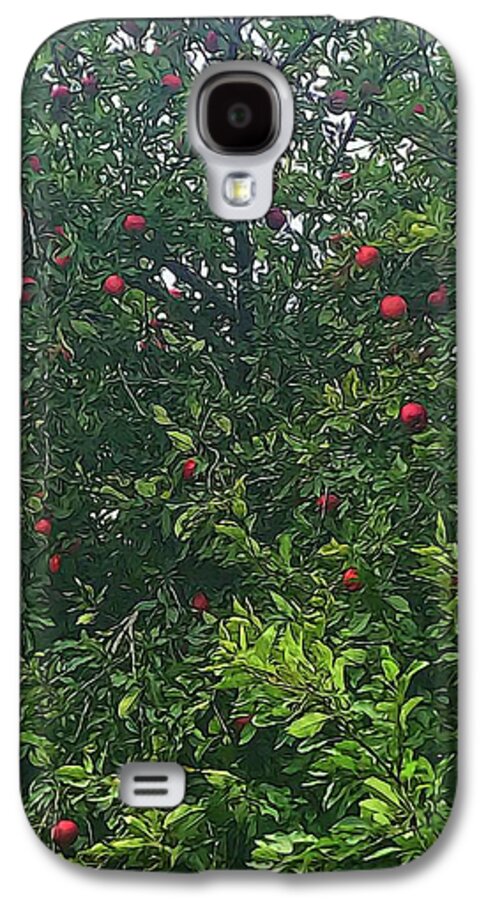 Apple Tree Close Up - Phone Case