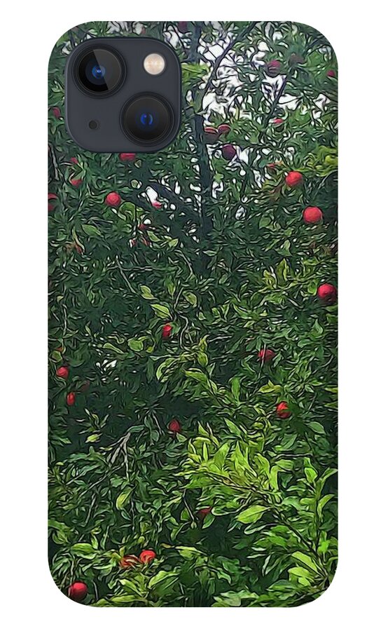 Apple Tree Close Up - Phone Case