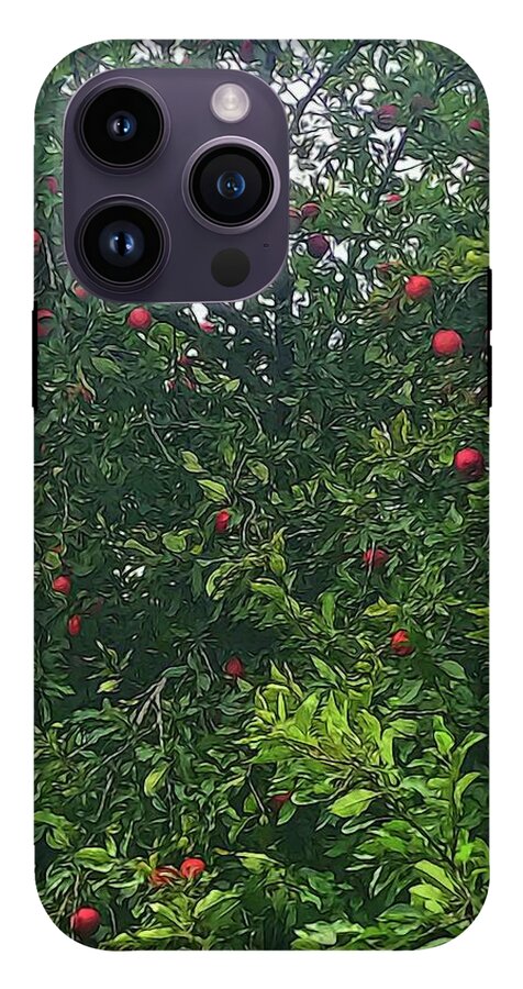 Apple Tree Close Up - Phone Case