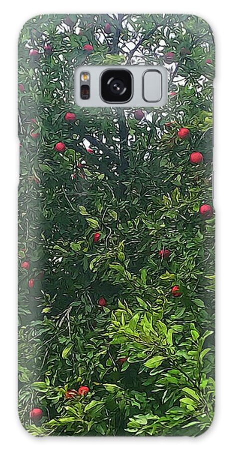 Apple Tree Close Up - Phone Case