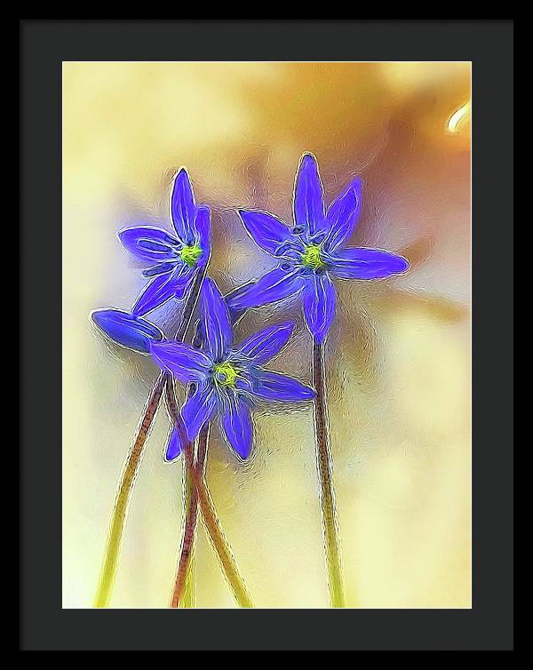 April Flowers - Framed Print