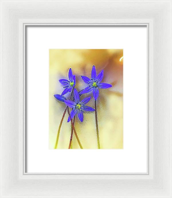 April Flowers - Framed Print