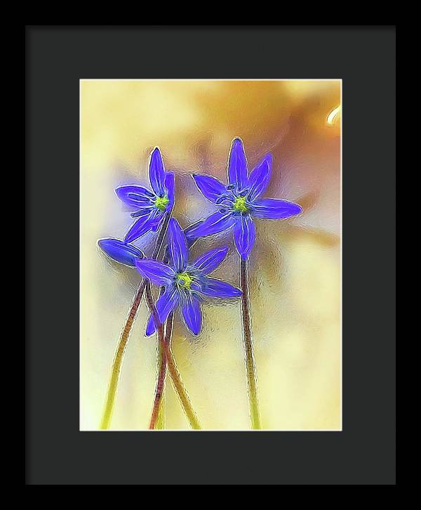 April Flowers - Framed Print