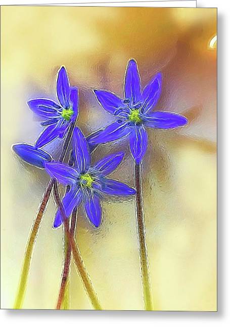 April Flowers - Greeting Card