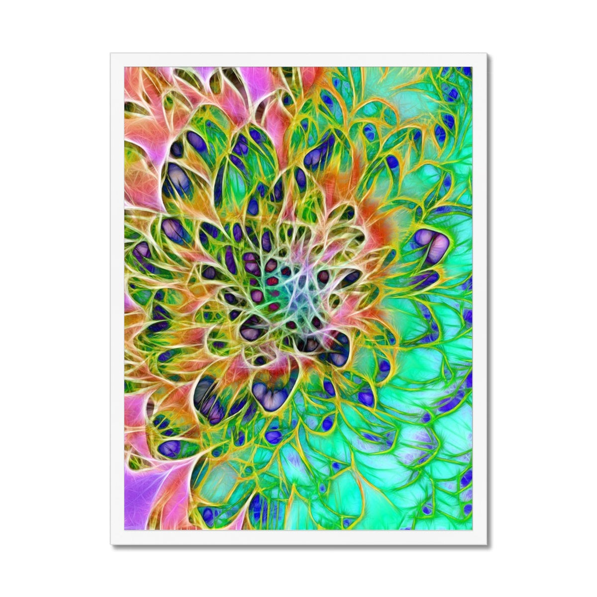 Abstract Peacock Chrysanthemum Framed Print