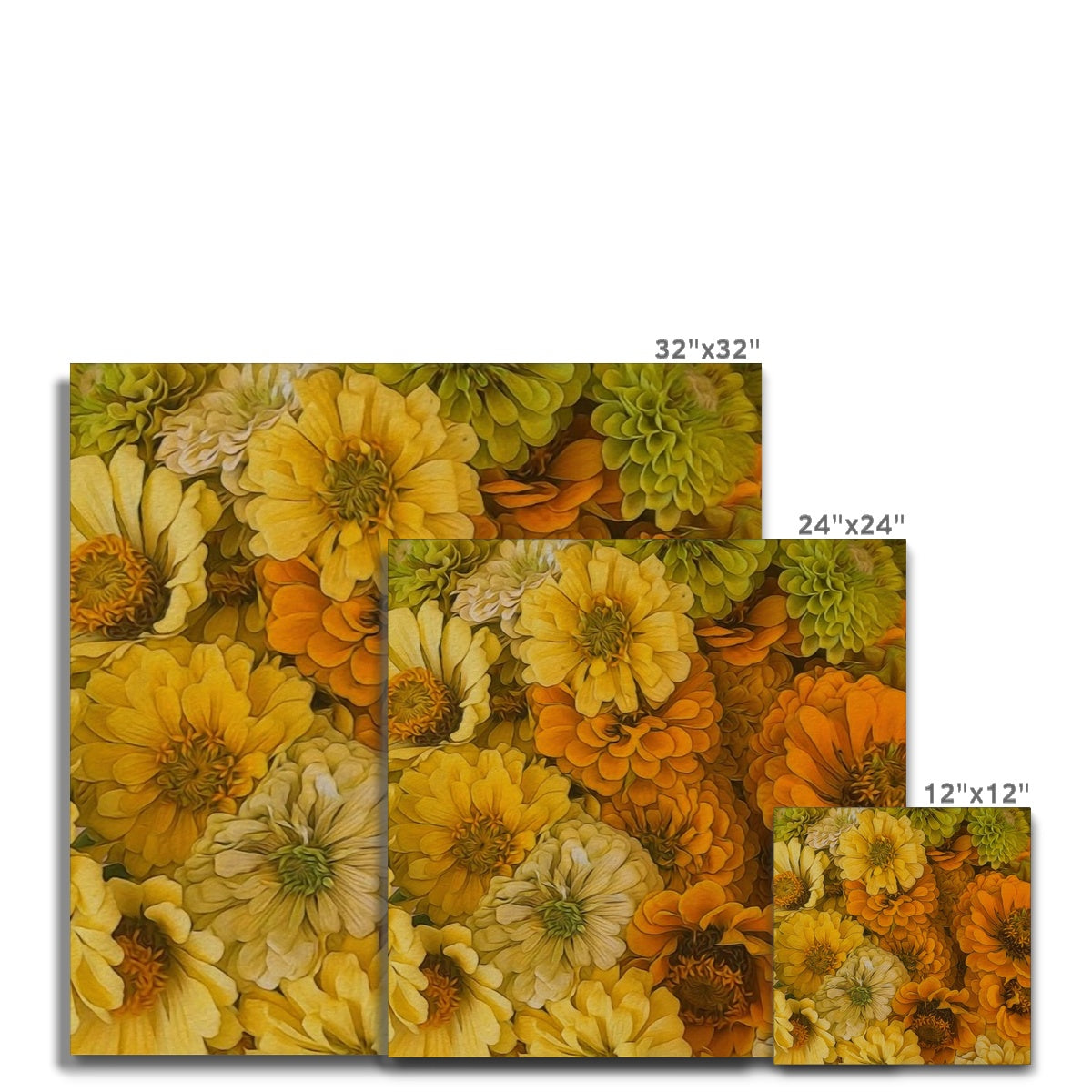 Yellow Zinnias Canvas
