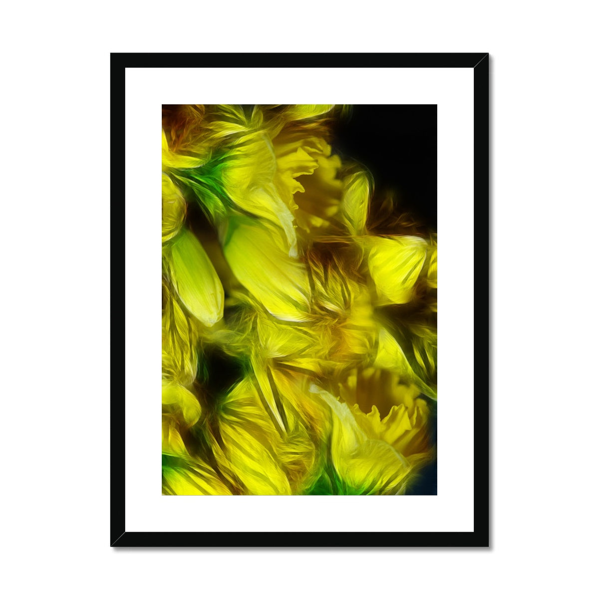 Abstract Yellow Daffodils Framed & Mounted Print